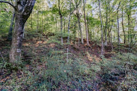 Tiny photo for 2409 Perilla Dr Dr, Cosby, TN 37722 (MLS # 1319396)