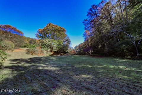 Tiny photo for 2409 Perilla Dr Dr, Cosby, TN 37722 (MLS # 1319396)