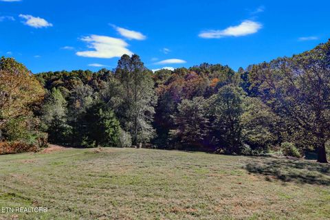Tiny photo for 2409 Perilla Dr Dr, Cosby, TN 37722 (MLS # 1319396)