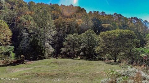 Tiny photo for 2409 Perilla Dr Dr, Cosby, TN 37722 (MLS # 1319396)