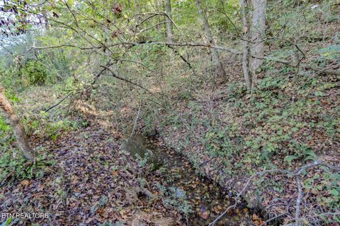 Tiny photo for 2409 Perilla Dr Dr, Cosby, TN 37722 (MLS # 1319396)