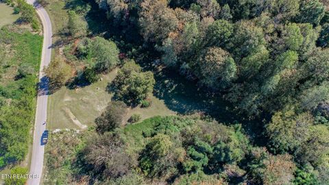 Tiny photo for 2409 Perilla Dr Dr, Cosby, TN 37722 (MLS # 1319396)