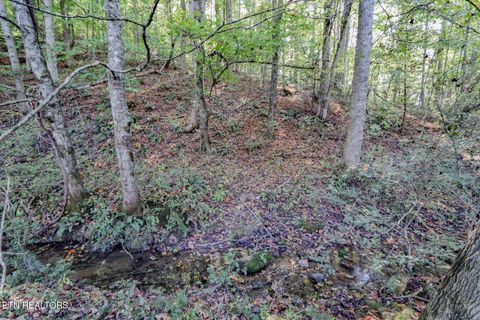 Tiny photo for 2409 Perilla Dr Dr, Cosby, TN 37722 (MLS # 1319396)