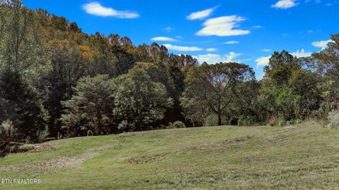 Tiny photo for 2409 Perilla Dr Dr, Cosby, TN 37722 (MLS # 1319396)