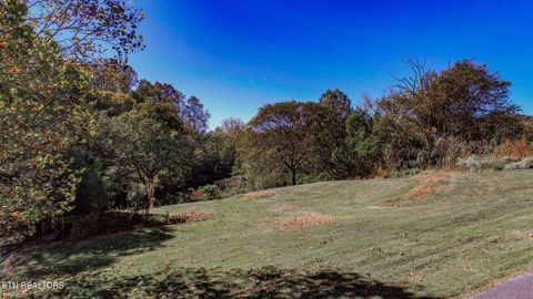 Tiny photo for 2409 Perilla Dr Dr, Cosby, TN 37722 (MLS # 1319396)