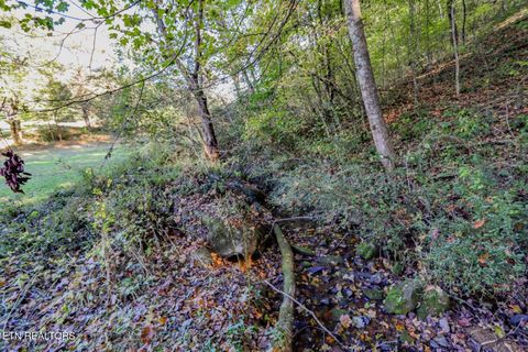 Tiny photo for 2409 Perilla Dr Dr, Cosby, TN 37722 (MLS # 1319396)
