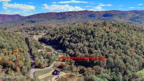 Photo of 2409 Perilla Dr Dr, Cosby, TN 37722 (MLS # 1319396)