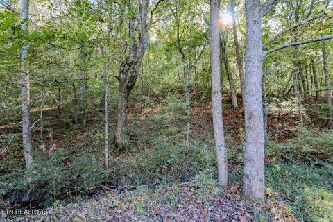 Tiny photo for 2409 Perilla Dr Dr, Cosby, TN 37722 (MLS # 1319396)