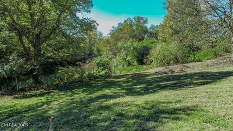 Tiny photo for 2409 Perilla Dr Dr, Cosby, TN 37722 (MLS # 1319396)