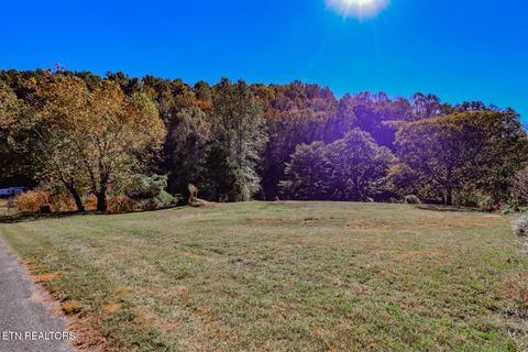 Tiny photo for 2409 Perilla Dr Dr, Cosby, TN 37722 (MLS # 1319396)