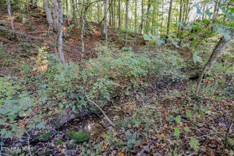 Tiny photo for 2409 Perilla Dr Dr, Cosby, TN 37722 (MLS # 1319396)