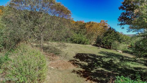 Tiny photo for 2409 Perilla Dr Dr, Cosby, TN 37722 (MLS # 1319396)