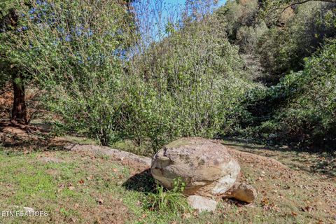 Tiny photo for 2409 Perilla Dr Dr, Cosby, TN 37722 (MLS # 1319396)