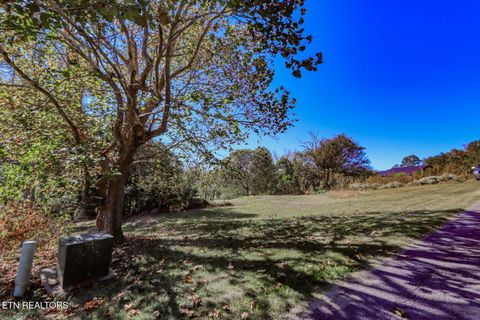 Tiny photo for 2409 Perilla Dr Dr, Cosby, TN 37722 (MLS # 1319396)