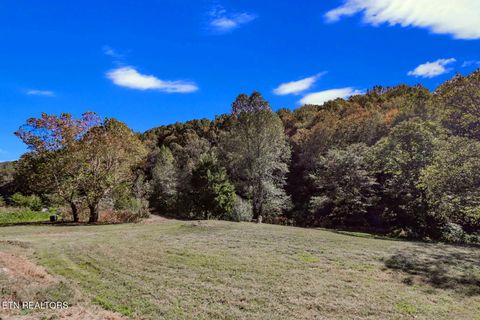 Tiny photo for 2409 Perilla Dr Dr, Cosby, TN 37722 (MLS # 1319396)