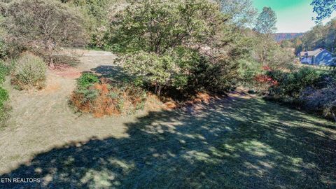 Tiny photo for 2409 Perilla Dr Dr, Cosby, TN 37722 (MLS # 1319396)
