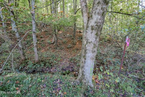 Tiny photo for 2409 Perilla Dr Dr, Cosby, TN 37722 (MLS # 1319396)