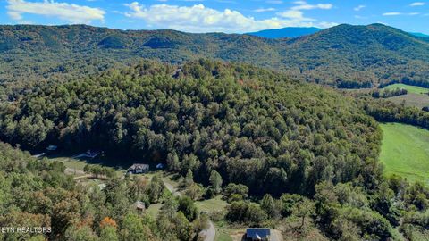 Photo of 2409 Perilla Dr Dr, Cosby, TN 37722 (MLS # 1319396)