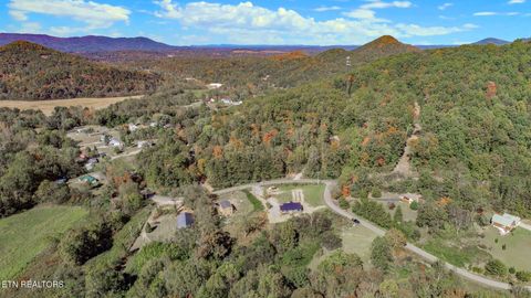 Tiny photo for 2409 Perilla Dr Dr, Cosby, TN 37722 (MLS # 1319396)