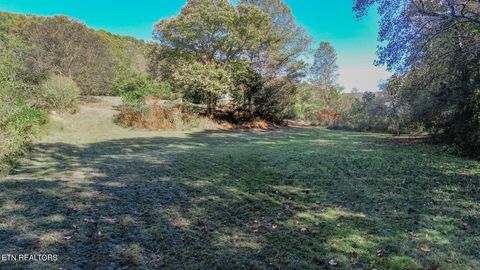 Tiny photo for 2409 Perilla Dr Dr, Cosby, TN 37722 (MLS # 1319396)