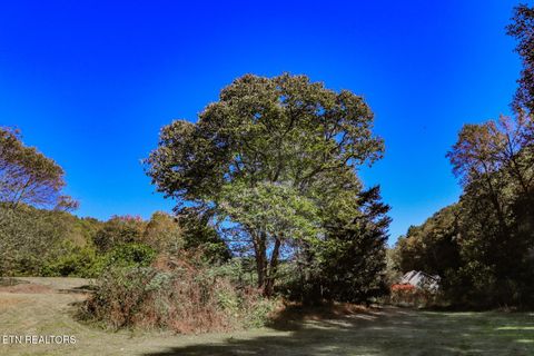 Tiny photo for 2409 Perilla Dr Dr, Cosby, TN 37722 (MLS # 1319396)