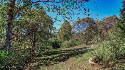 Tiny photo for 2409 Perilla Dr Dr, Cosby, TN 37722 (MLS # 1319396)