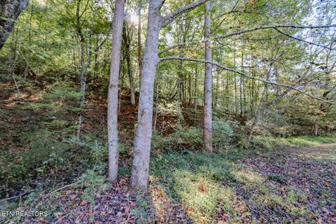 Tiny photo for 2409 Perilla Dr Dr, Cosby, TN 37722 (MLS # 1319396)