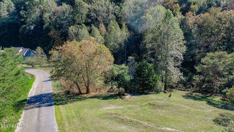 Tiny photo for 2409 Perilla Dr Dr, Cosby, TN 37722 (MLS # 1319396)