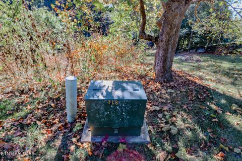 Tiny photo for 2409 Perilla Dr Dr, Cosby, TN 37722 (MLS # 1319396)