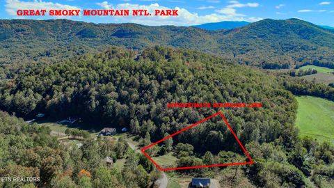 Tiny photo for 2409 Perilla Dr Dr, Cosby, TN 37722 (MLS # 1319396)