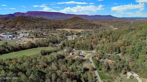 Tiny photo for 2409 Perilla Dr Dr, Cosby, TN 37722 (MLS # 1319396)