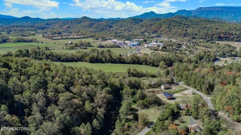 Tiny photo for 2409 Perilla Dr Dr, Cosby, TN 37722 (MLS # 1319396)