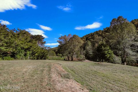 Tiny photo for 2409 Perilla Dr Dr, Cosby, TN 37722 (MLS # 1319396)