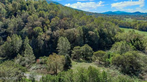 Tiny photo for 2409 Perilla Dr Dr, Cosby, TN 37722 (MLS # 1319396)