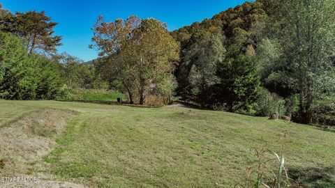 Tiny photo for 2409 Perilla Dr Dr, Cosby, TN 37722 (MLS # 1319396)