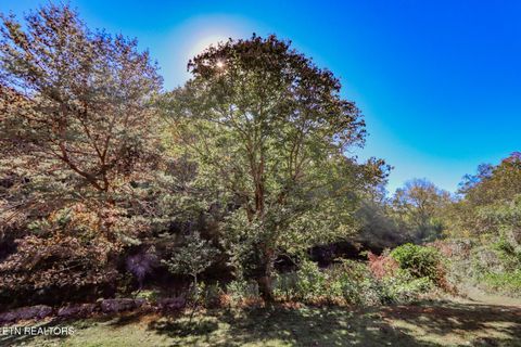 Tiny photo for 2409 Perilla Dr Dr, Cosby, TN 37722 (MLS # 1319396)