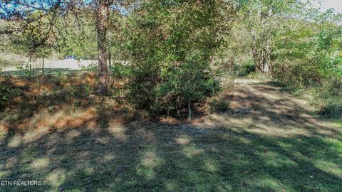 Tiny photo for 2409 Perilla Dr Dr, Cosby, TN 37722 (MLS # 1319396)