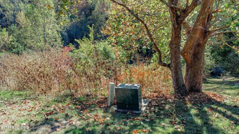 Tiny photo for 2409 Perilla Dr Dr, Cosby, TN 37722 (MLS # 1319396)