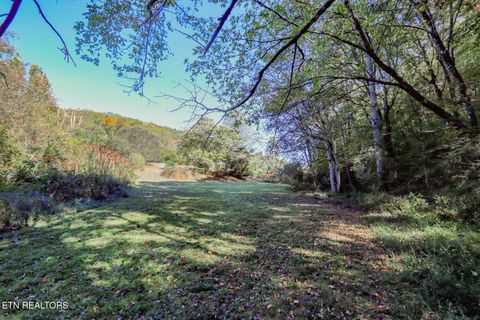 Tiny photo for 2409 Perilla Dr Dr, Cosby, TN 37722 (MLS # 1319396)