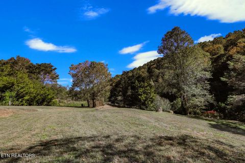 Tiny photo for 2409 Perilla Dr Dr, Cosby, TN 37722 (MLS # 1319396)