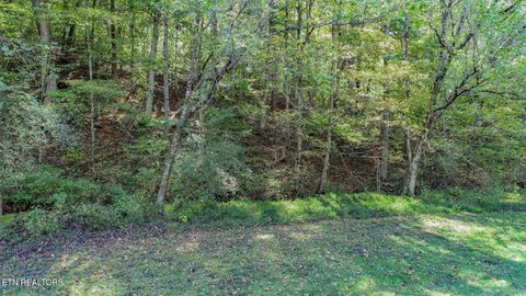 Tiny photo for 2409 Perilla Dr Dr, Cosby, TN 37722 (MLS # 1319396)