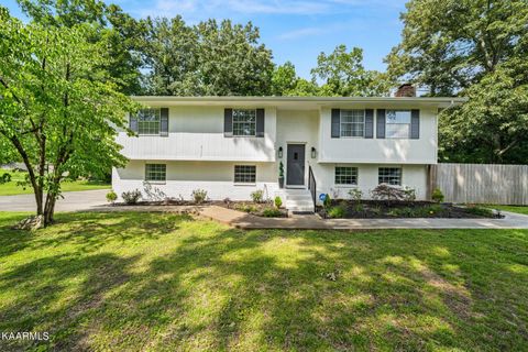 196 County Road 142 Riceville TN 37370