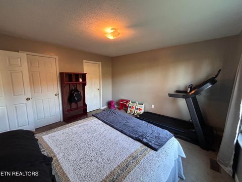 Tiny photo for 1013 Highway 61, Blaine, TN 37709 (MLS # 1322296)