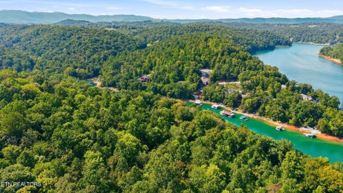 Tiny photo for 773 Yoakum Hollow Rd, Jacksboro, TN 37757 (MLS # 1355578)