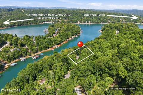 Tiny photo for 773 Yoakum Hollow Rd, Jacksboro, TN 37757 (MLS # 1355578)
