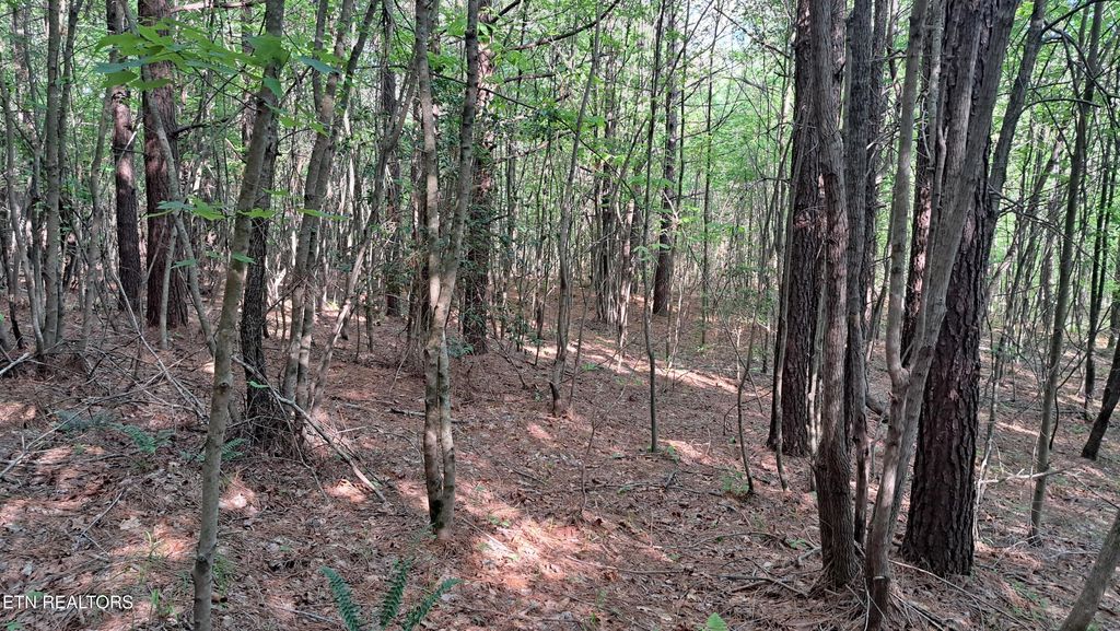 Photo of 20 Airport Rd (PCA), Rockwood, TN 37854 (MLS # 1322118)