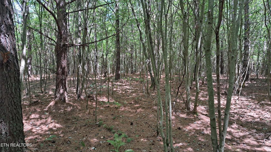 Photo of 20 Airport Rd (PCA), Rockwood, TN 37854 (MLS # 1322118)