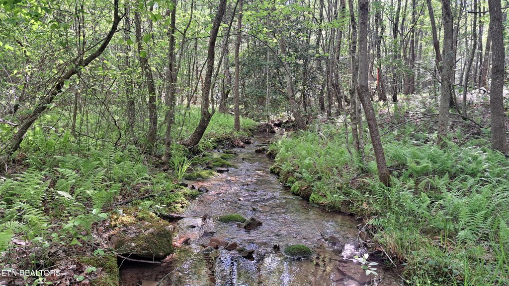 Photo of 20 Airport Rd (PCA), Rockwood, TN 37854 (MLS # 1322118)