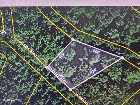 Tiny photo for Cassies Xing, Speedwell, TN 37870 (MLS # 1328651)