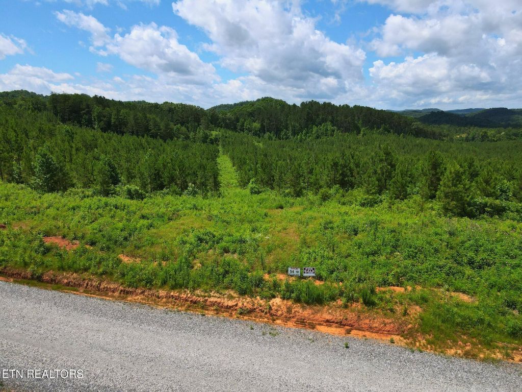 Photo of 54 Three Point Rd, Vonore, TN 37885 (MLS # 1342520)